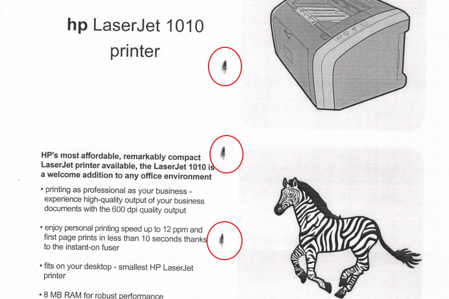 Epson сильно скрипит. Чиним!